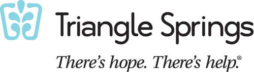 triangle springs logo